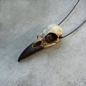 Raven Skull Necklace - Gothic Jewelry