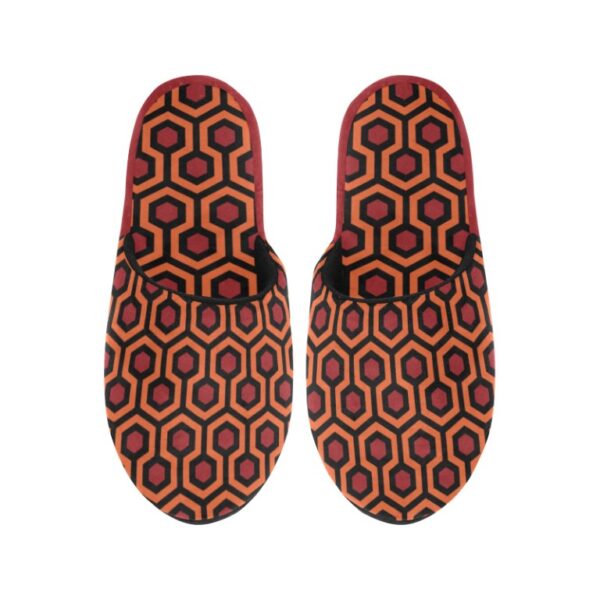 The Shining Slippers